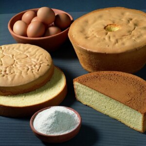 CREDIN® BISCUIT