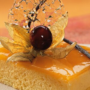 80. CREDI® GEL BRILHO
