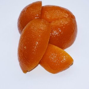 19. CASCA DE LARANJA